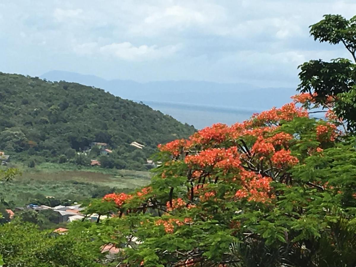 Florianópolis 维拉贝拉维拉吉奥旅馆酒店 外观 照片